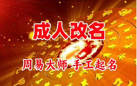 安阳市成人改名-找大师一对一改名先分析后改名